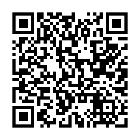 QR code for CIT491
