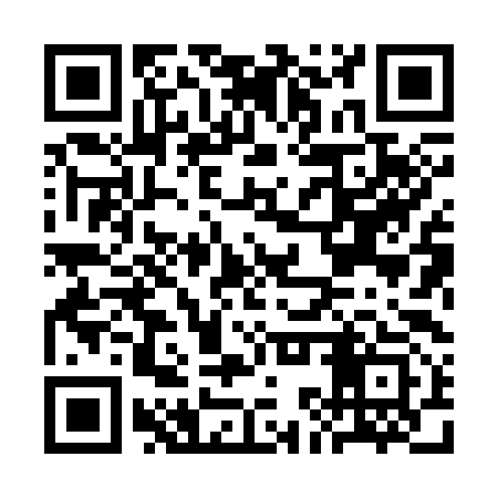 QR code for CKX393