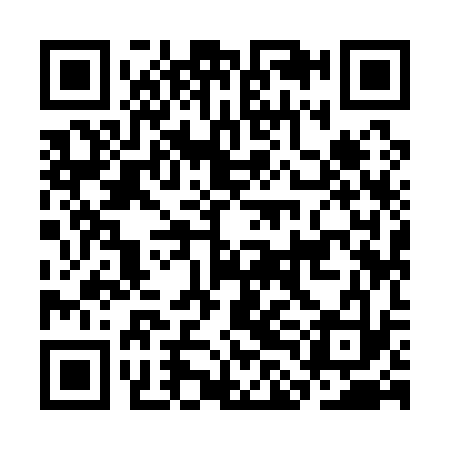QR code for CLI133