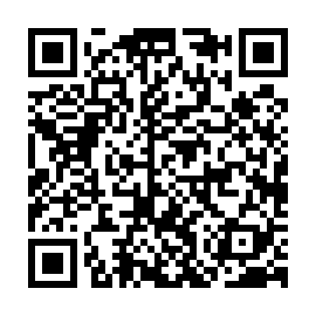QR code for COP529
