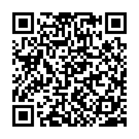 QR code for CSR335