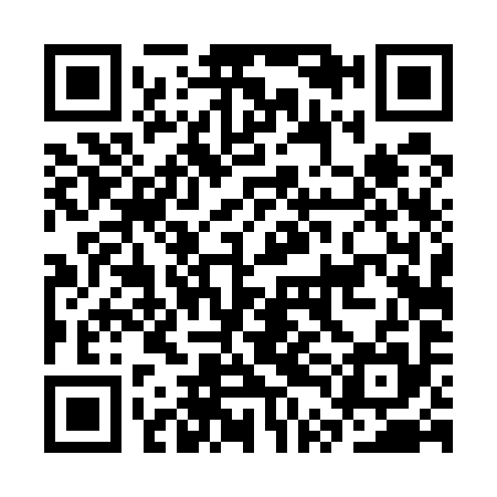 QR code for CTD595