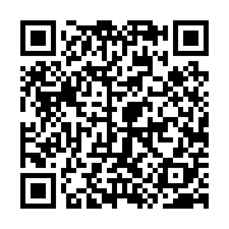 QR code for CYT208