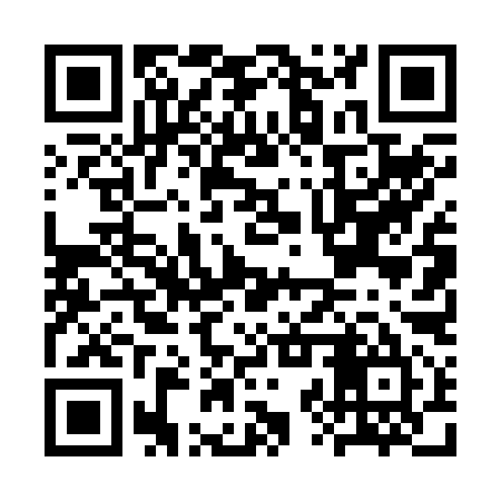 QR code for CZT295