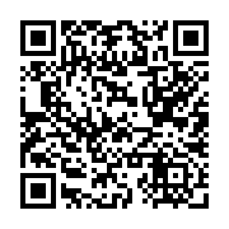 QR code for CZW393
