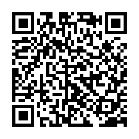 QR code for DAG959
