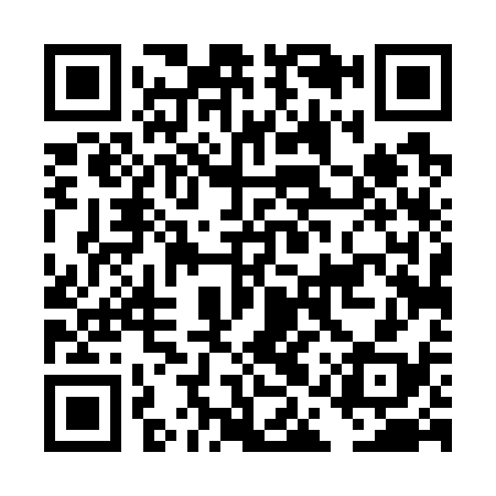 QR code for DAT738
