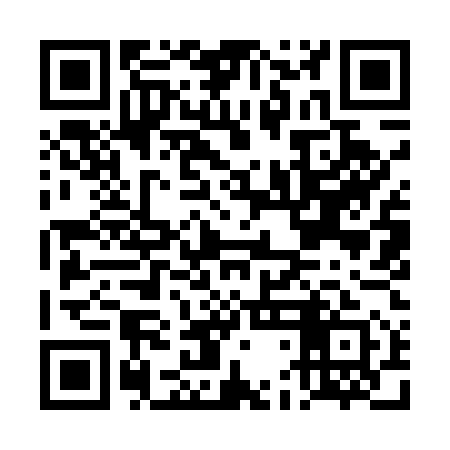 QR code for DDI551