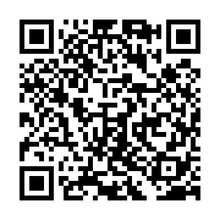 QR code for DDI578