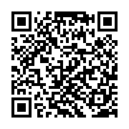 QR code for DDL055