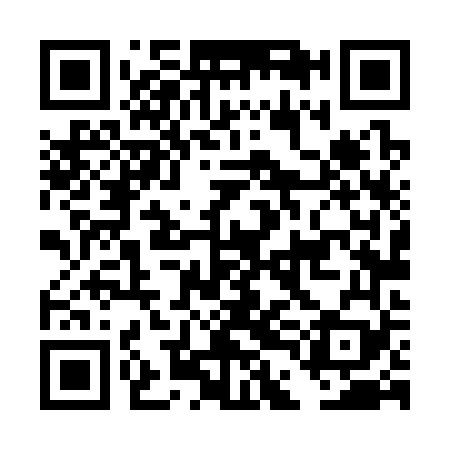 QR code for DDL369