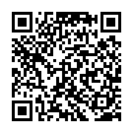 QR code for DDL741