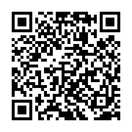 QR code for DDM493
