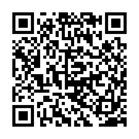 QR code for DDQ333