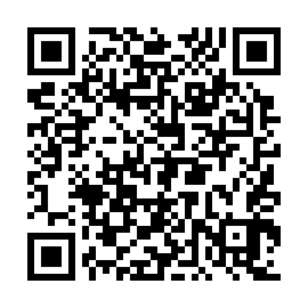 QR code for DDT343
