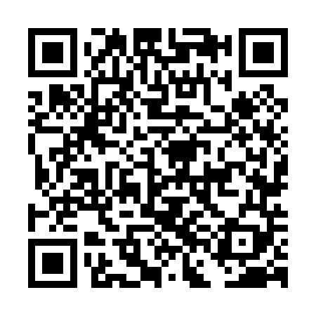 QR code for DFN049