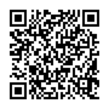 QR code for DGM386