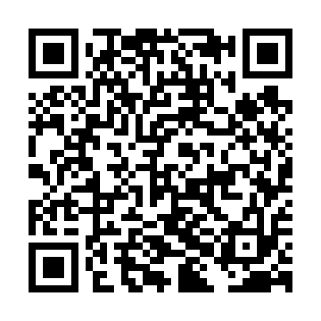 QR code for DHG613