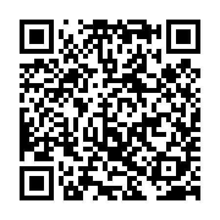 QR code for DHS489