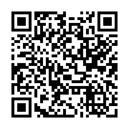 QR code for DHX385