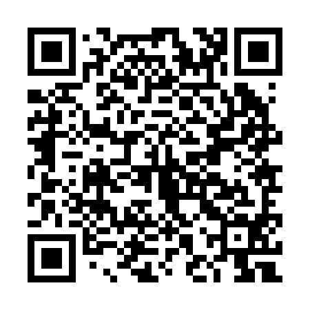 QR code for DHZ294