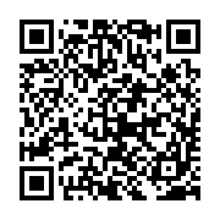 QR code for DIB397