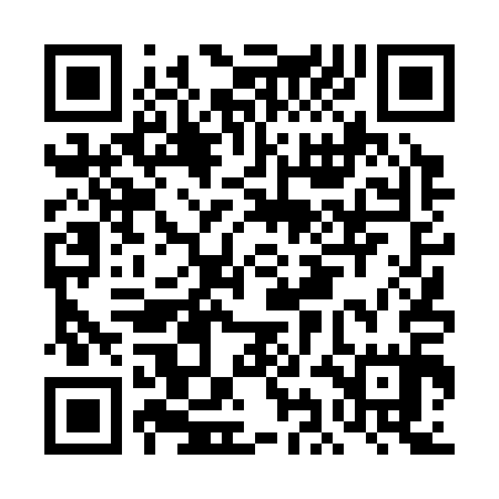 QR code for DID315