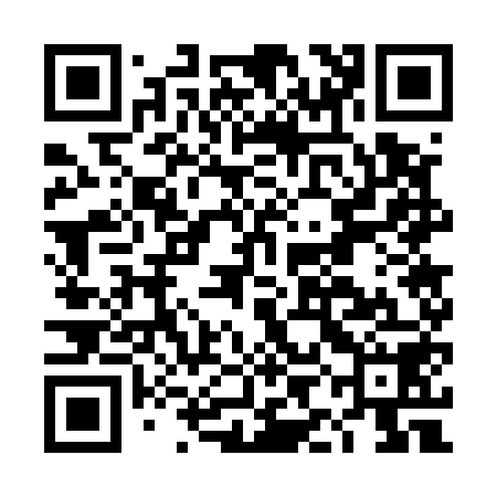 QR code for DIG558