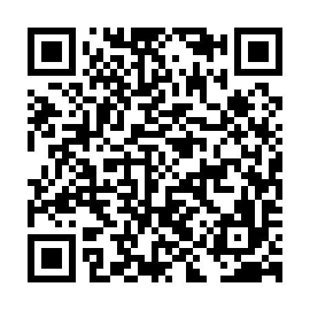 QR code for DIU196