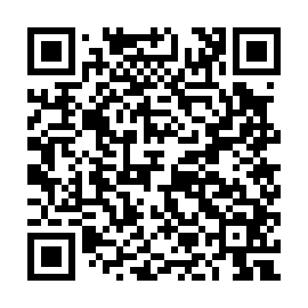 QR code for DMG044