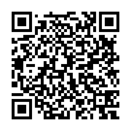 QR code for DMS838