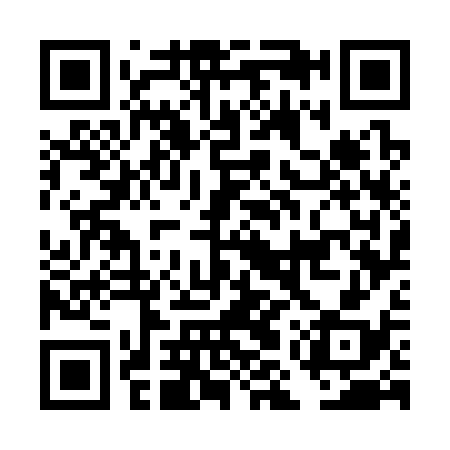 QR code for DMW338