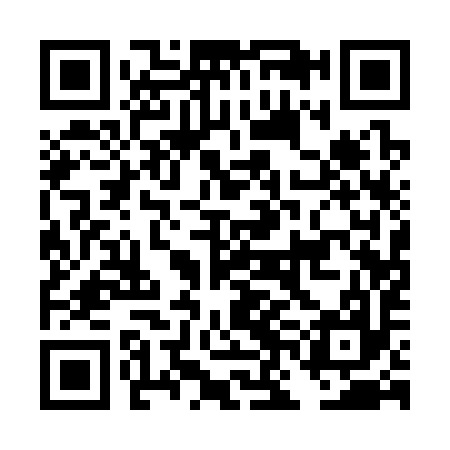 QR code for DNA397