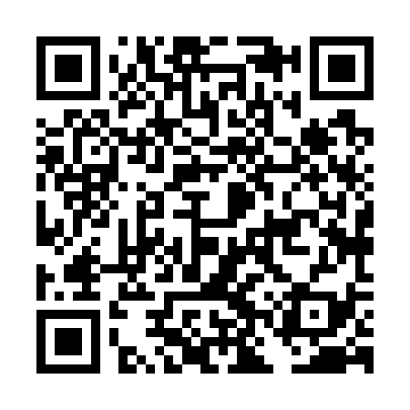 QR code for DNX739