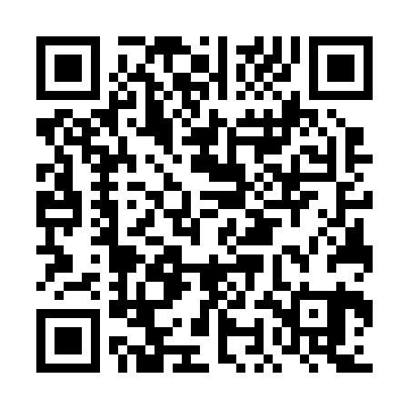 QR code for DOG221