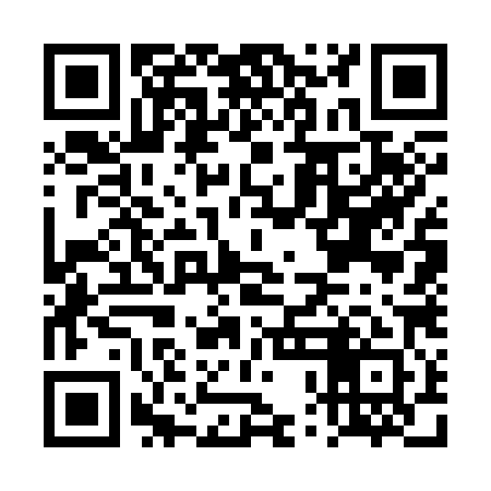 QR code for DPG381