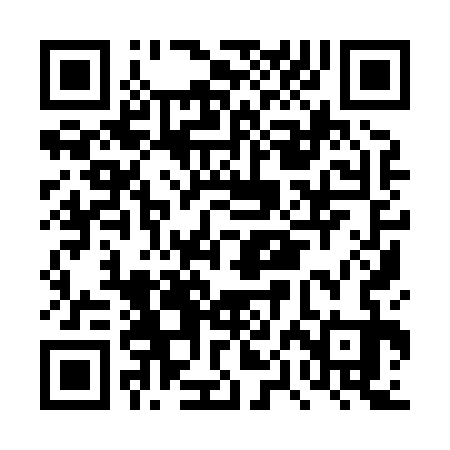 QR code for DPI833