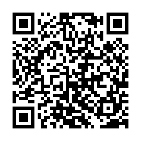 QR code for DPL054