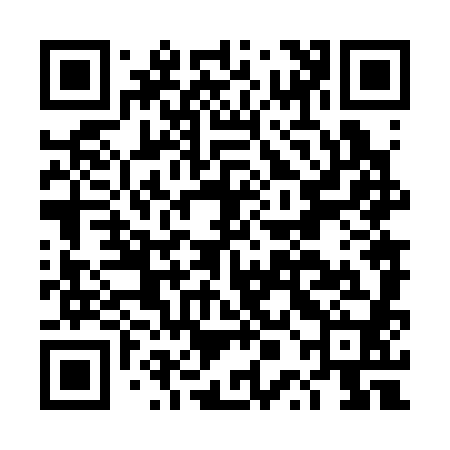 QR code for DPN380