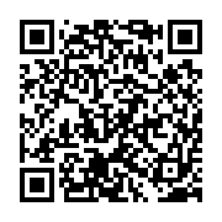 QR code for DPQ713