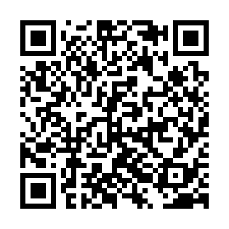 QR code for DRG338