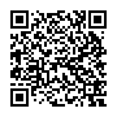 QR code for DSE228