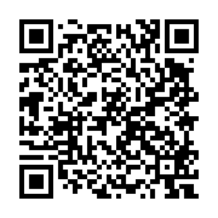 QR code for DSI489
