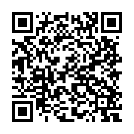 QR code for DSI542