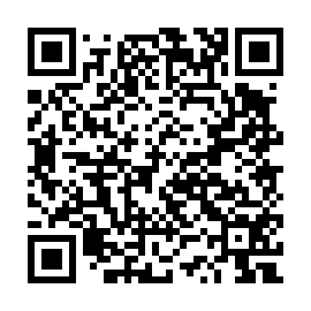 QR code for DSP454