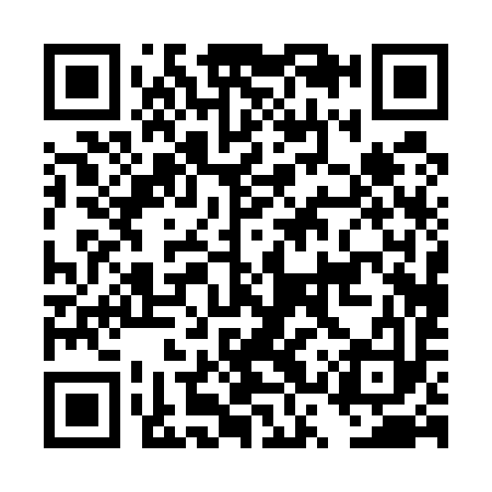 QR code for DSP593