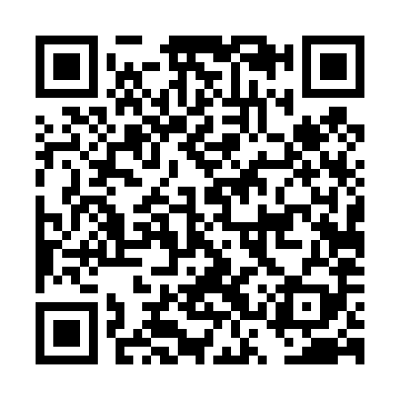 QR code for DST489