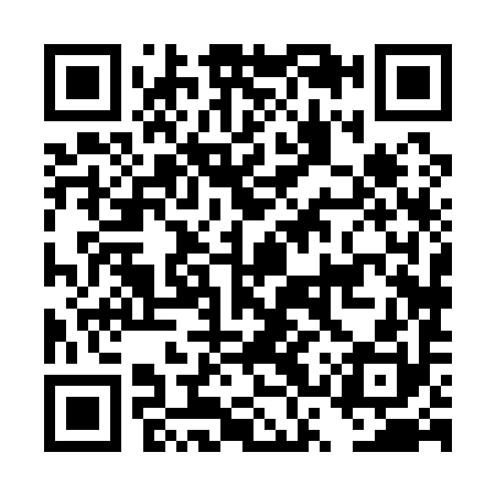 QR code for DSX190