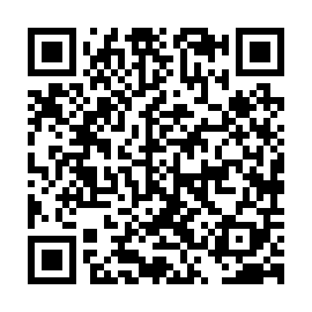 QR code for DSX209