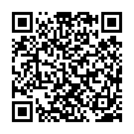 QR code for DSX633